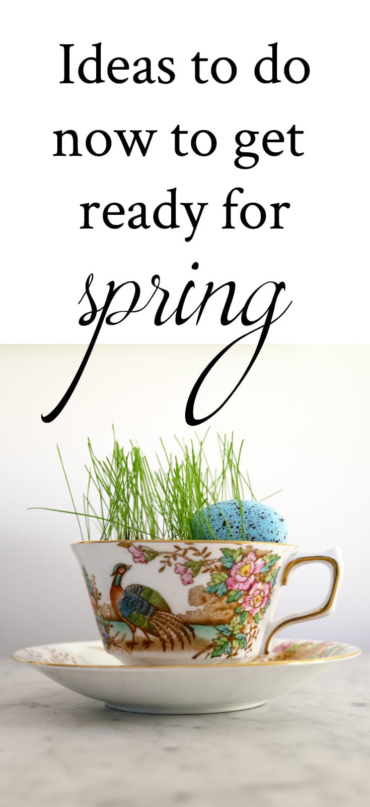 Spring Decor Ideas: Tea cup planter with grass and egg, ideas to do now to get ready for Spring