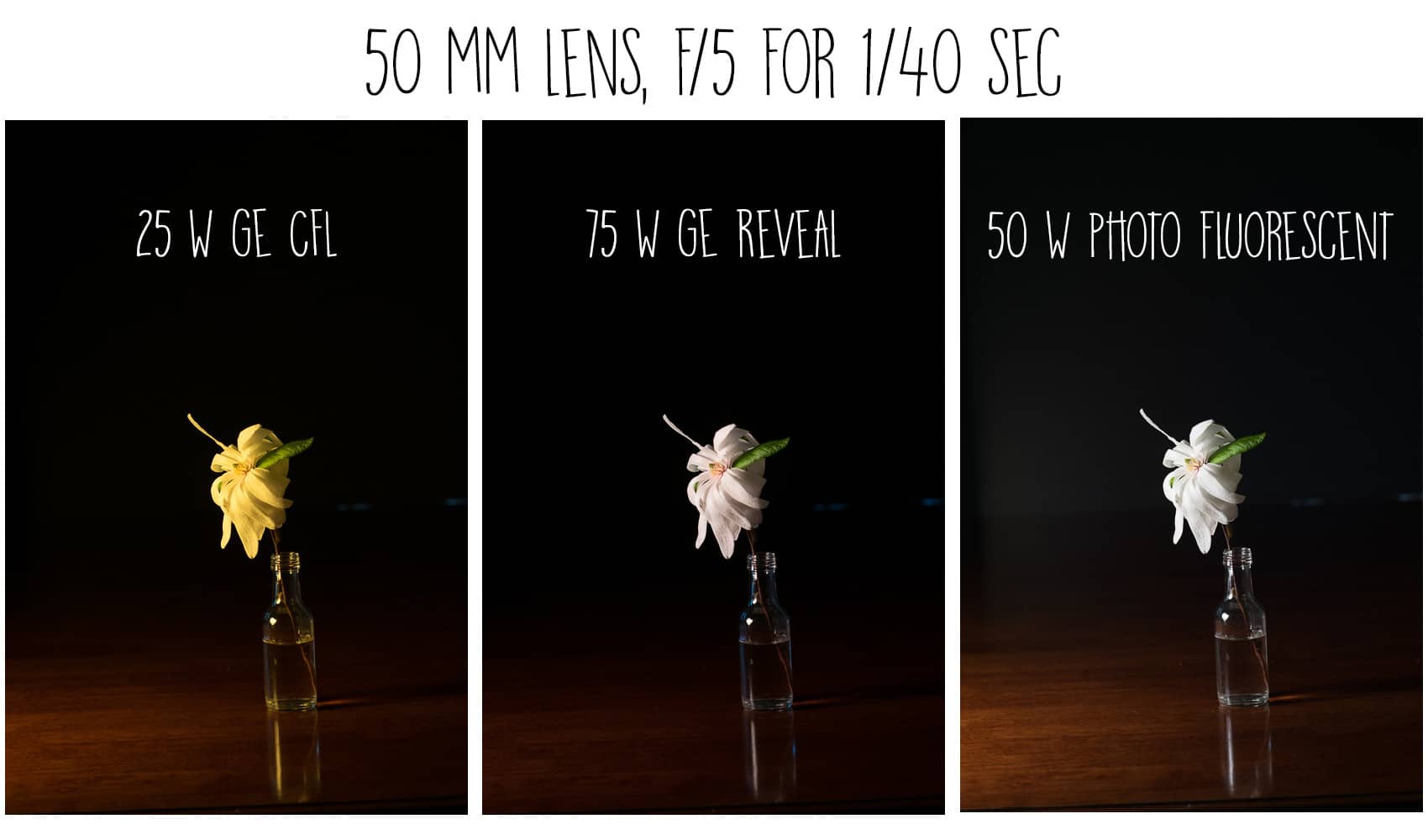 Quick tutorial on Floral Art Photography showing how to photograph against a black background with a comparison of the effects different bulbs. Great way to diy art for your home decor.