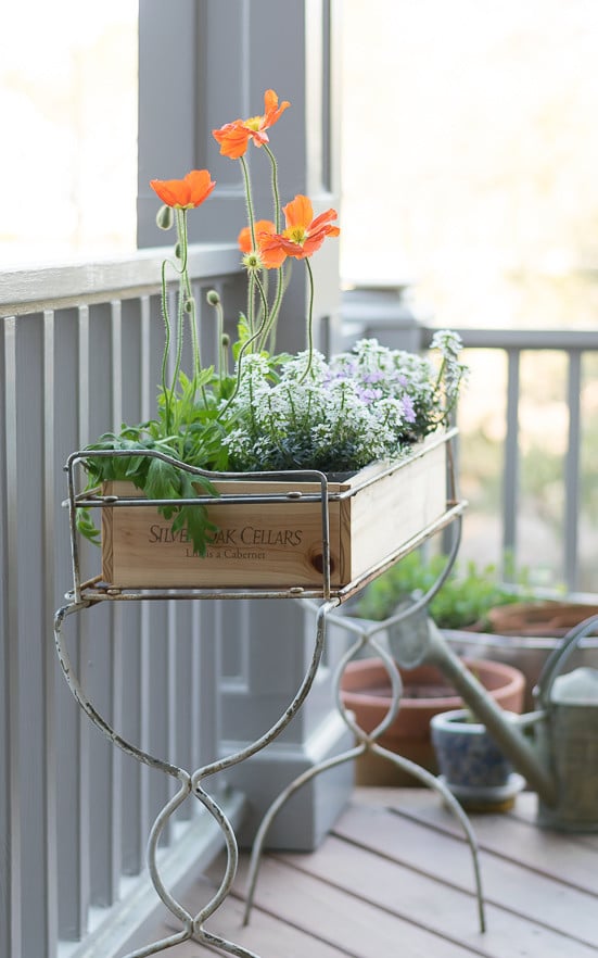I upcycled a wooden wine crate and made this fantastic wine crate planter box. It works perfectly in my old metal planter.