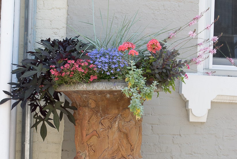 Great container garden ideas, including images and recipes with specific plant names and plant combinations for thriller, filler and spiller.