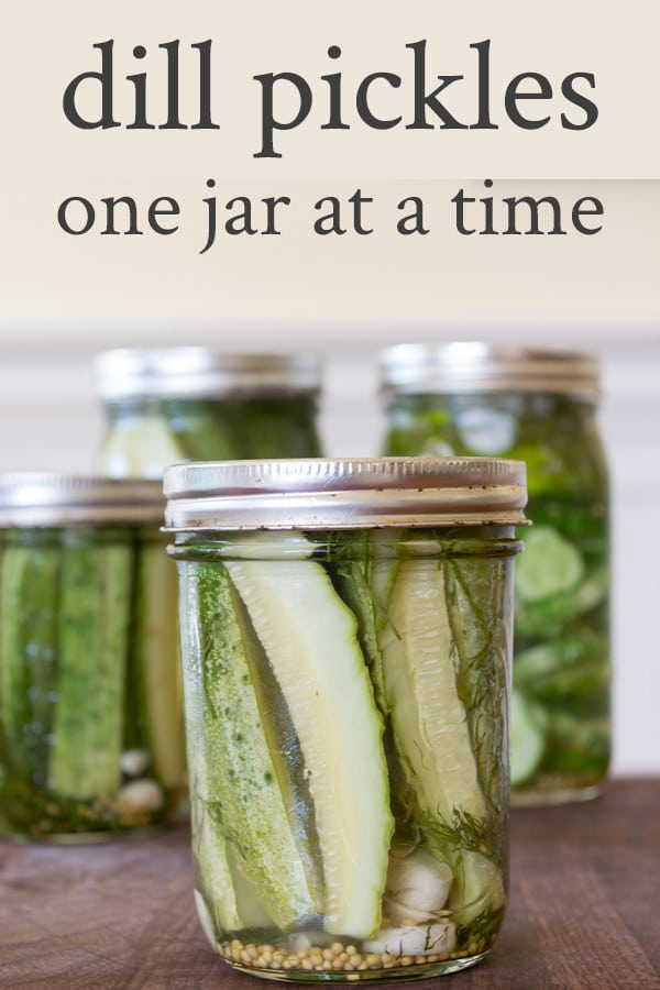 If you want to make one jar of refrigerator dill pickles or five, here's the perfect recipe. Keep brine in your fridge for easy, small batch dill pickles. This pickle recipe is the perfect recipe for those new to canning and preserving.