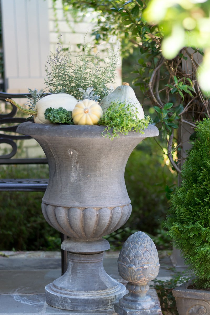 A fall container garden with natural and neutral elements anchored with hubbard squash, white acorn squash and white pumpkin. Thyme and kale are just a few of the plants that are tucked in to this autumn container garden in shades of gray, green and white.