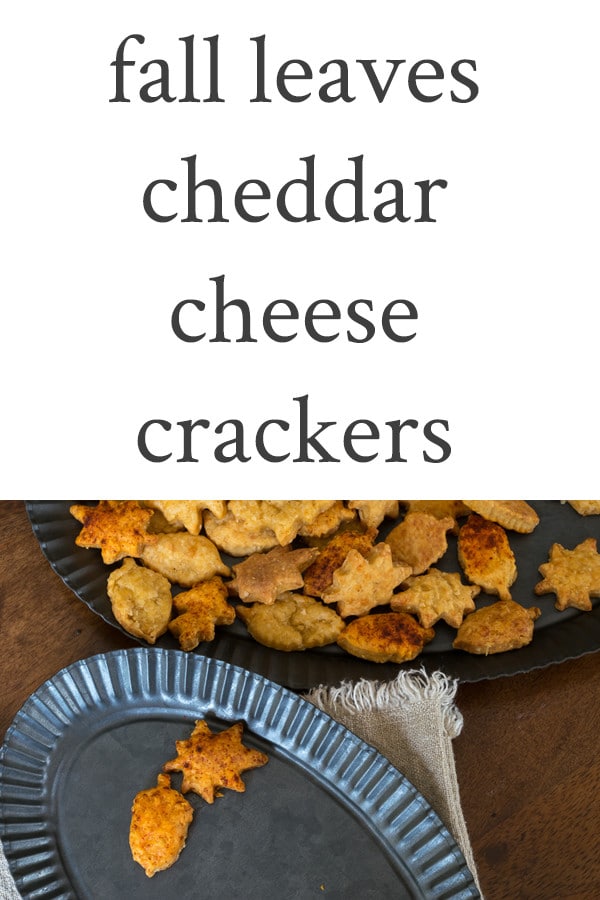 Bite-sized, savory cheddar cheese crackers, cut with mini-leaf cookie cutters. The perfect fall snack for entertaining or tailgating.