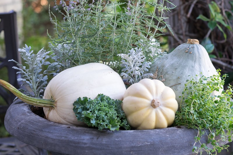 Soft, neutral and natural fall container garden