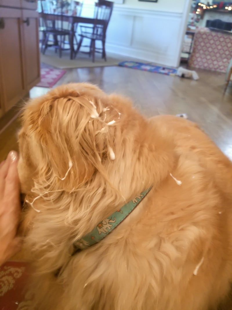 'Mixed Metals' Decorated Sugar Cookies • Nourish and Nestle