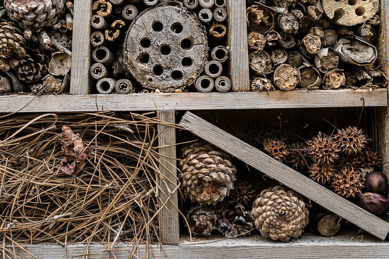 DIY Insect Hotel Filling