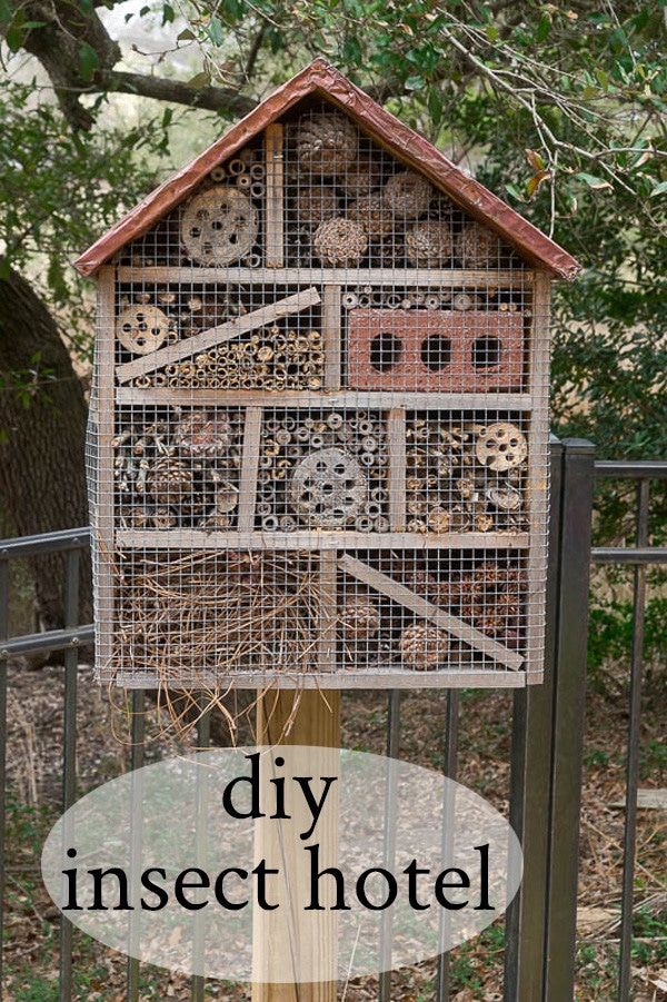 How to make a diy insect hotel