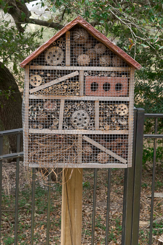 10.4 X 3.4 X 5.4 Inch Bug Hotel Garden Ladybirds Beneficial Insect Habitat Lulu Home Wooden Insect House Hanging Insect Hotel for Bee Butterfly 