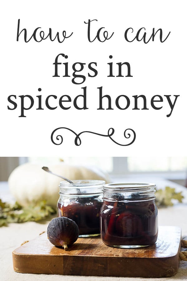 Fig Preserves Recipe: How to Can Figs in Spiced Honey pinterest pin